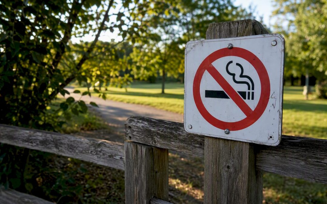 What Does a Prohibition Sign Look Like: Visual Guide